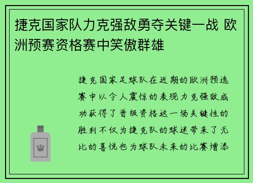 捷克国家队力克强敌勇夺关键一战 欧洲预赛资格赛中笑傲群雄